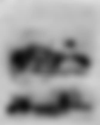 Bare trees (preview)