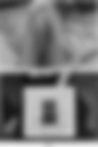 Playboy nude, Mme Ines Moitessier, Marcel Duchamp, window (preview)