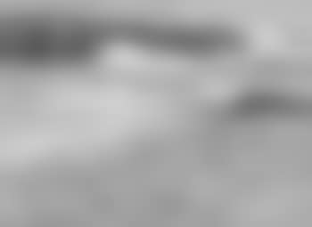 Waves (preview)