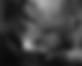Deer beside woodland stream (preview)