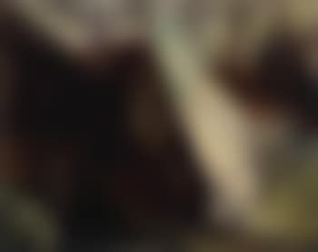 Sussenborn (preview)