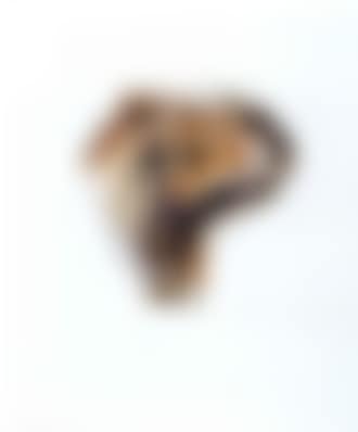 Head (preview)