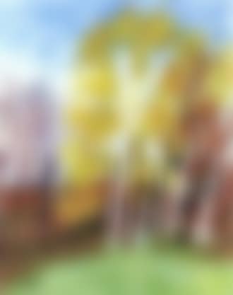 Spring at Sydkoster (preview)