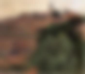 View of Toledo (preview)