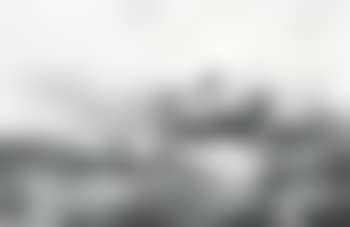 Sheep grazing (preview)