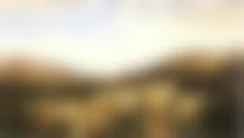 Gathering flock, Loch Maree (preview)
