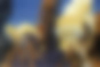 The Cygnet and the Firebird (preview)