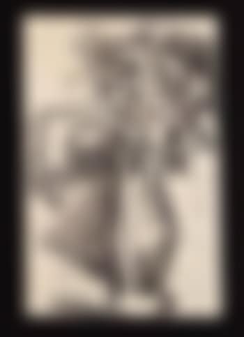 Fleurs dans un vase - bouquet (preview)