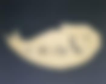 Carpe (preview)