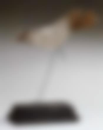 Merle (preview)