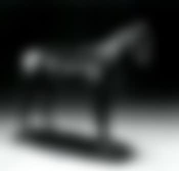 Gladiateur, standing racehorse (preview)