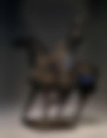 Cavallo e cavaliere (preview)