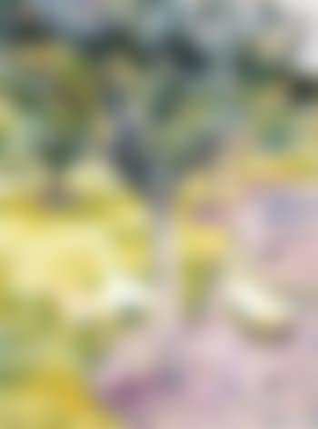 Geese in orchard (preview)