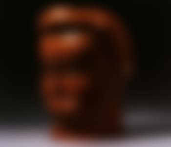 Head of woman (preview)