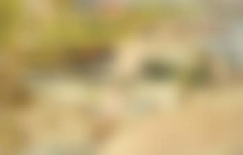 Beach, Largo (preview)