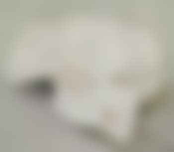Basin (preview)