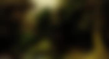 Wooded landscape with hunters by forest lake (preview)
