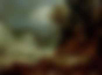 Rome, view of the Campo Vaccino (preview)