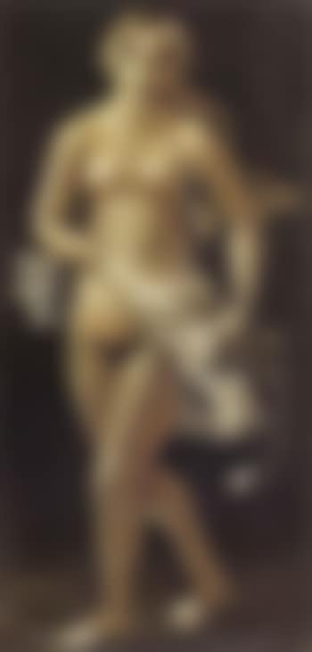 Nue au voile blanc (preview)