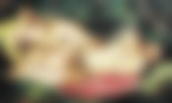 Baigneuses (preview)