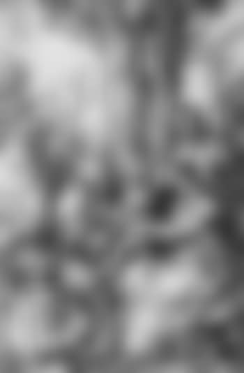 Holy Family with Joachim and Anna under tree (preview)