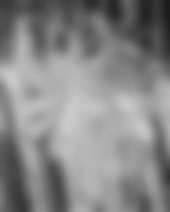 Flowers, abstract composition (preview)
