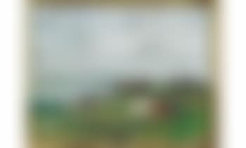 Troupeau de vaches au bord de la Touques (preview)
