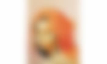 Jeune fille au turban orange (preview)