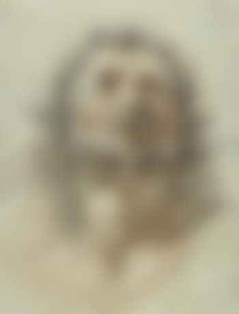 Head of man looking up to right. Study of nude looking down to right (preview)