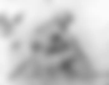 Seated shepherd, in profile to right (preview)