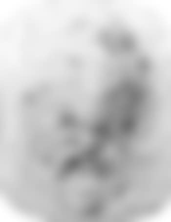 Head of Silenus (preview)
