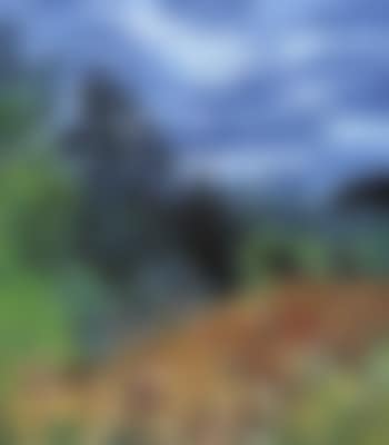 Coastal meadow in spring (preview)