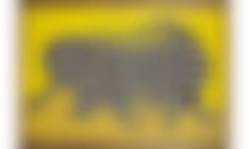 Les deux tigres (preview)
