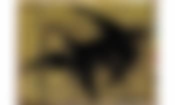 Oiseaux (preview)