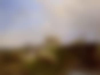 Moutons pres du petit pont (preview)
