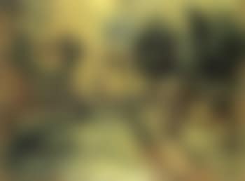 Landscape (preview)