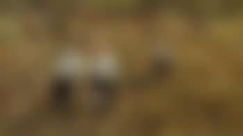 Children in long grass (preview)