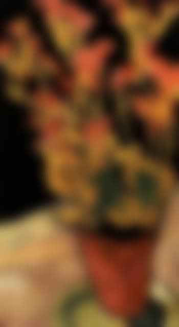 Le pot de fleurs rouges (preview)