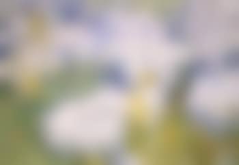 Kleine Steinstudie (preview)