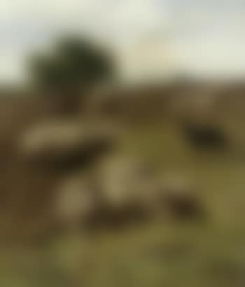 Out to pasture (preview)