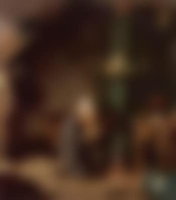 Attic life (preview)
