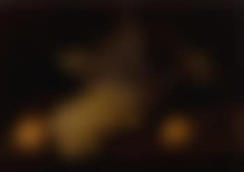 Still life of fruit (preview)
