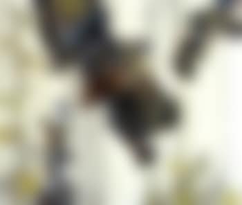 Three shapes (preview)