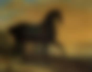 Portraits of thoroughbreds, brown and chestnut (preview)
