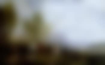 Courtly hunting party beside lake (preview)