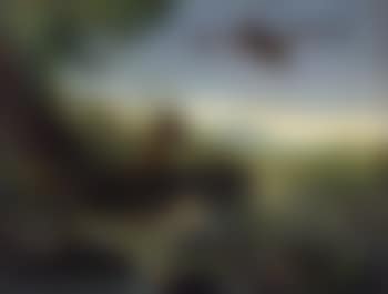 Eagle in flight over ducks in pond (preview)