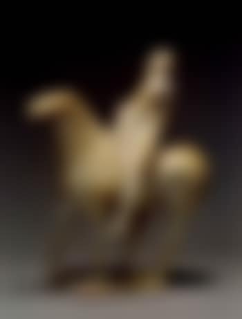 Piccolo cavaliere (preview)