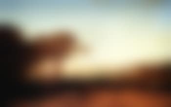 Paysage du Liban (preview)