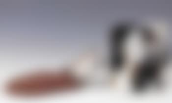 Conserve expansion, Serie Alimentation vision revue (preview)
