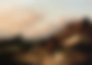 Chickens in farmyard (preview)